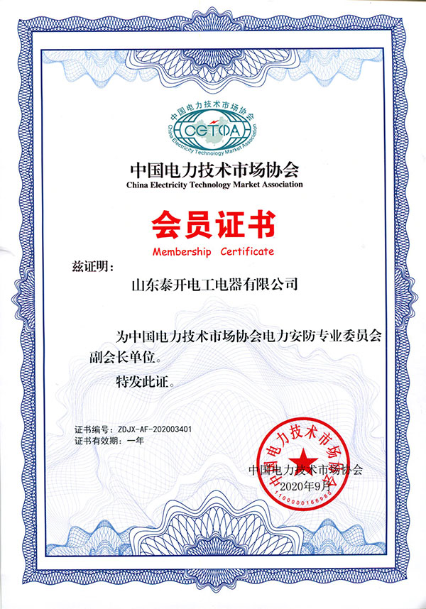 中國(guó)電力技術(shù)市場(chǎng)協(xié)會(huì)會(huì)員證書